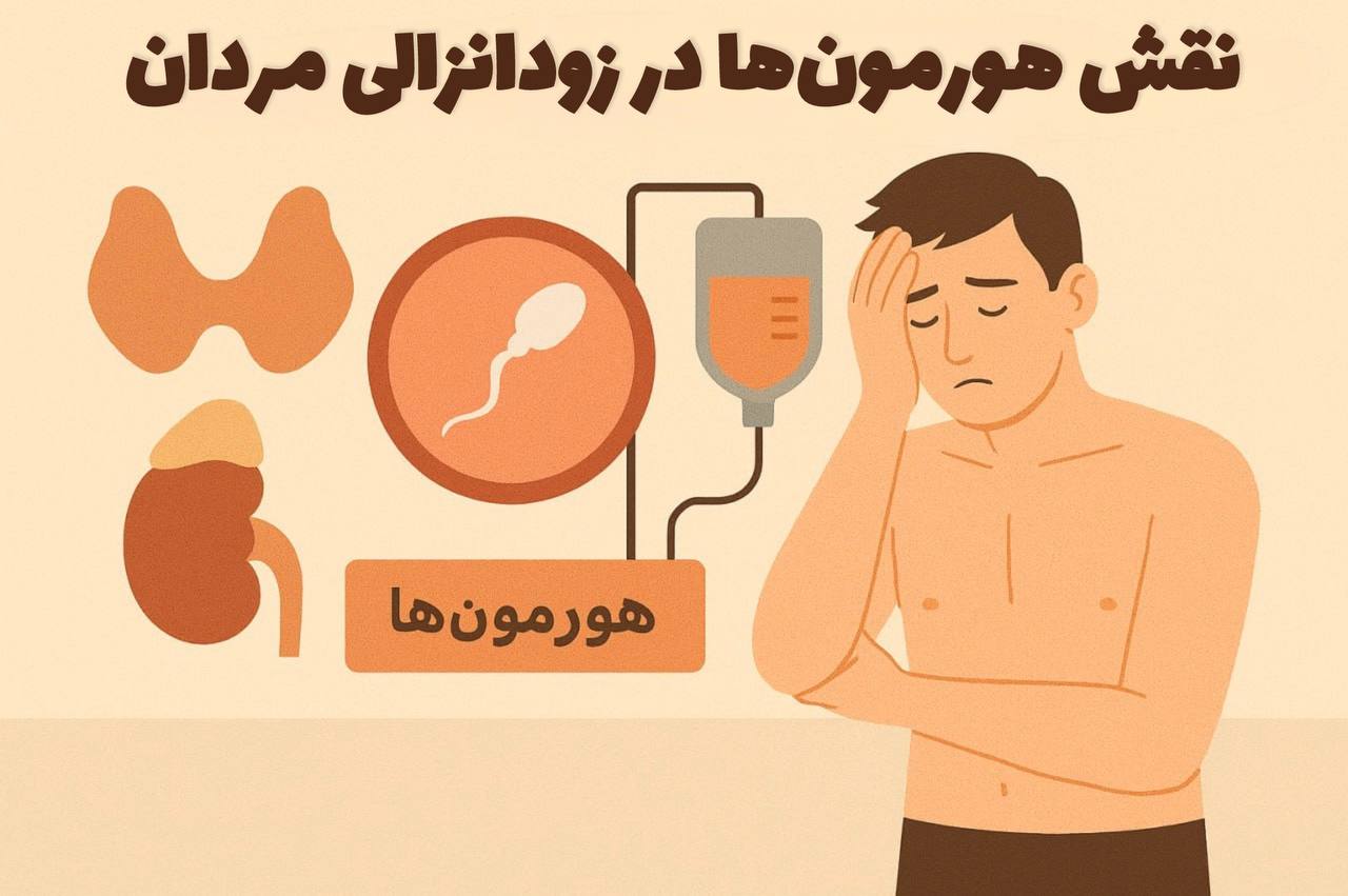 نقش هورمون ها در سلامت جنسی و باروری