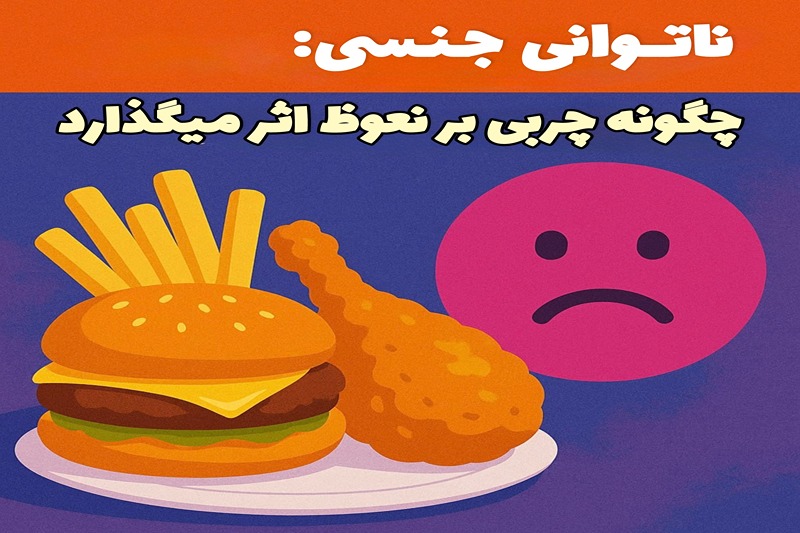 ناتوانی جنسی: چگونه چربی بر نعوظ اثر میگذارد