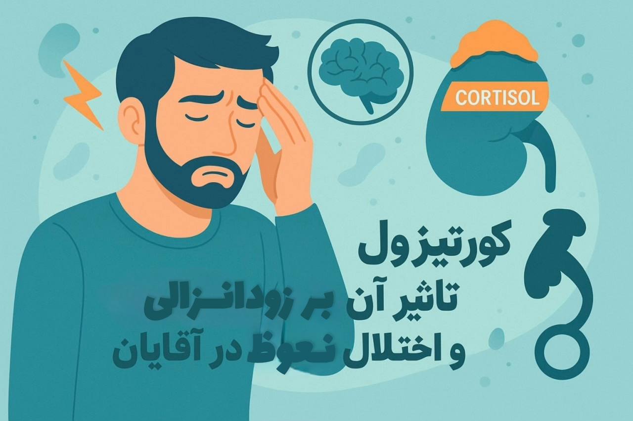 کورتیزول :تاثیر آن بر زود انزالی و اختلال نعوظ آقایان