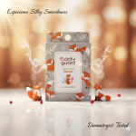 لوبریکانت سیلیکونی بادیگارد