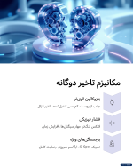 کاندوم تاخیری مضاعف X-DREAM - Image 3